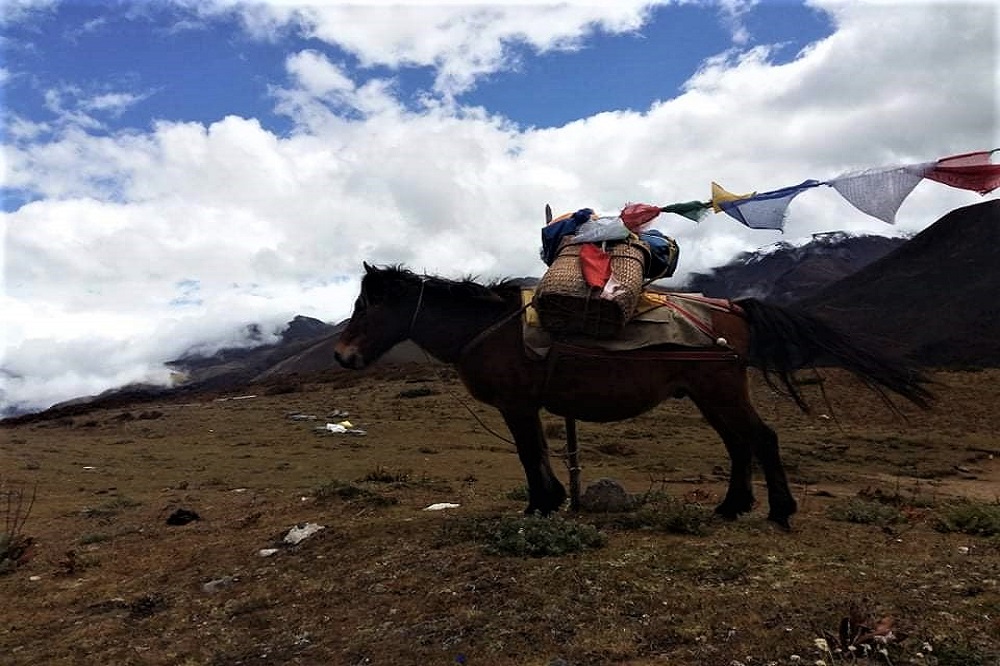 jomolhari trek bhutan